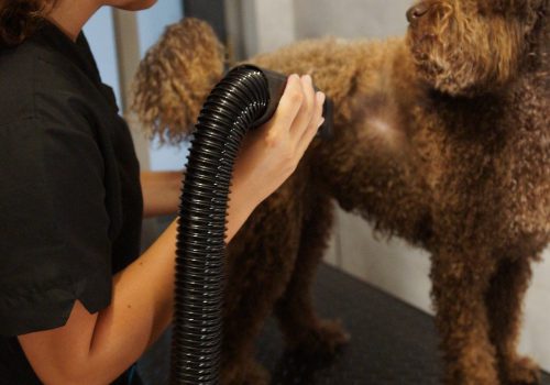 Waterblazen 1 - Retri